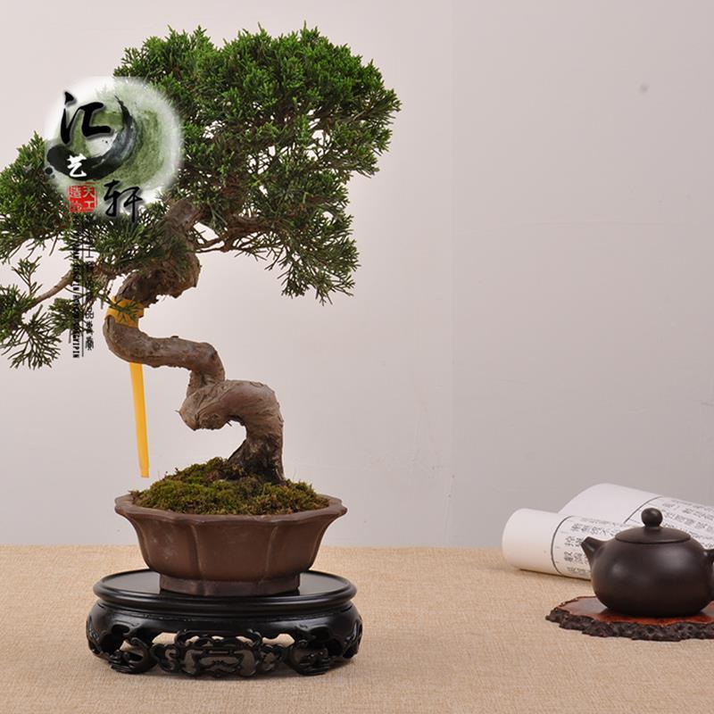 实木椭圆如意纹镂空微盆景茶壶花瓶摆件底座玉石香炉古玩木托托架