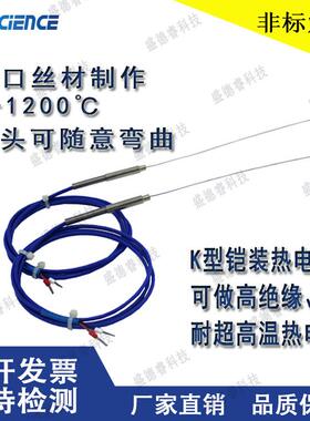 k型探针式铠装热电偶WRNK-191 偶 极细直径0.5mm 温度感测器 定制