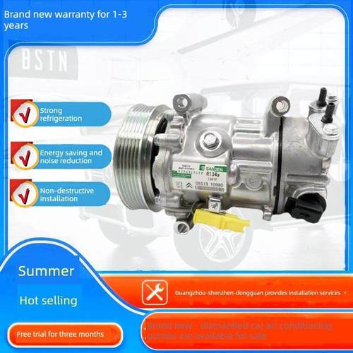 适用于Ds爱仕Ds5 Ds5Ls Ds4S Ds6 Ds7 Ds9汽车空调器压缩机空调器