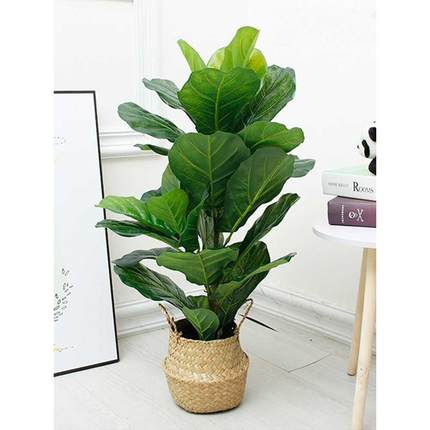 仿真植物红掌假花束客厅室内装饰盆栽摆设塑料绿植假花小盆景摆件