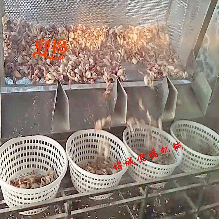 鹏福特八带蒸汽煮锅   不锈钢燃气方形乌鱼煮锅  海子蒸煮锅价格