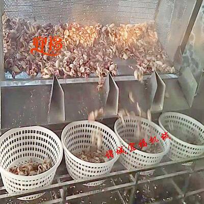 鹏福特八带蒸汽煮锅   不锈钢燃气方形乌鱼煮锅  海子蒸煮锅价格