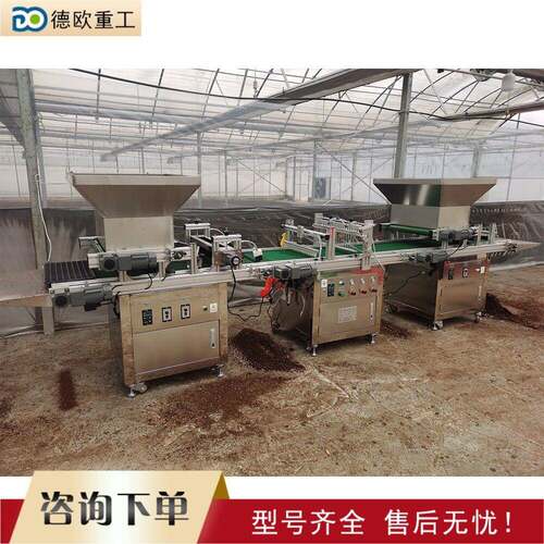 花卉种子穴盘育苗机Floral Seed Plug Seedling Raising Machine