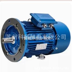 SNMA电机YP50-3-2 SENLIMA ELECTRIC MOTOR CO.,LTD 电动机马达