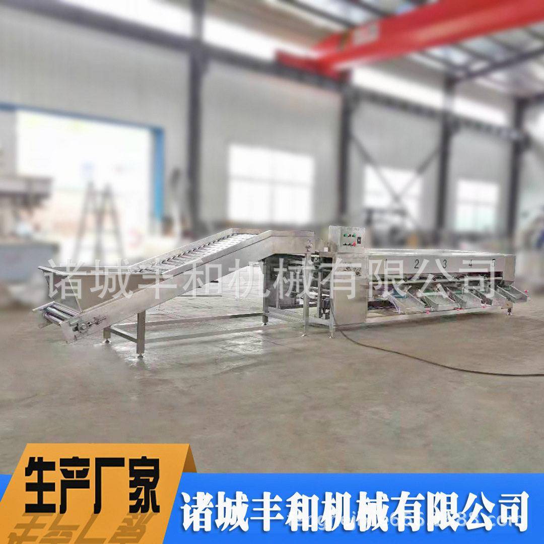 水蜜桃大小分级机 滚杠不伤果分级机 释迦果山竹分级机荔枝分级机
