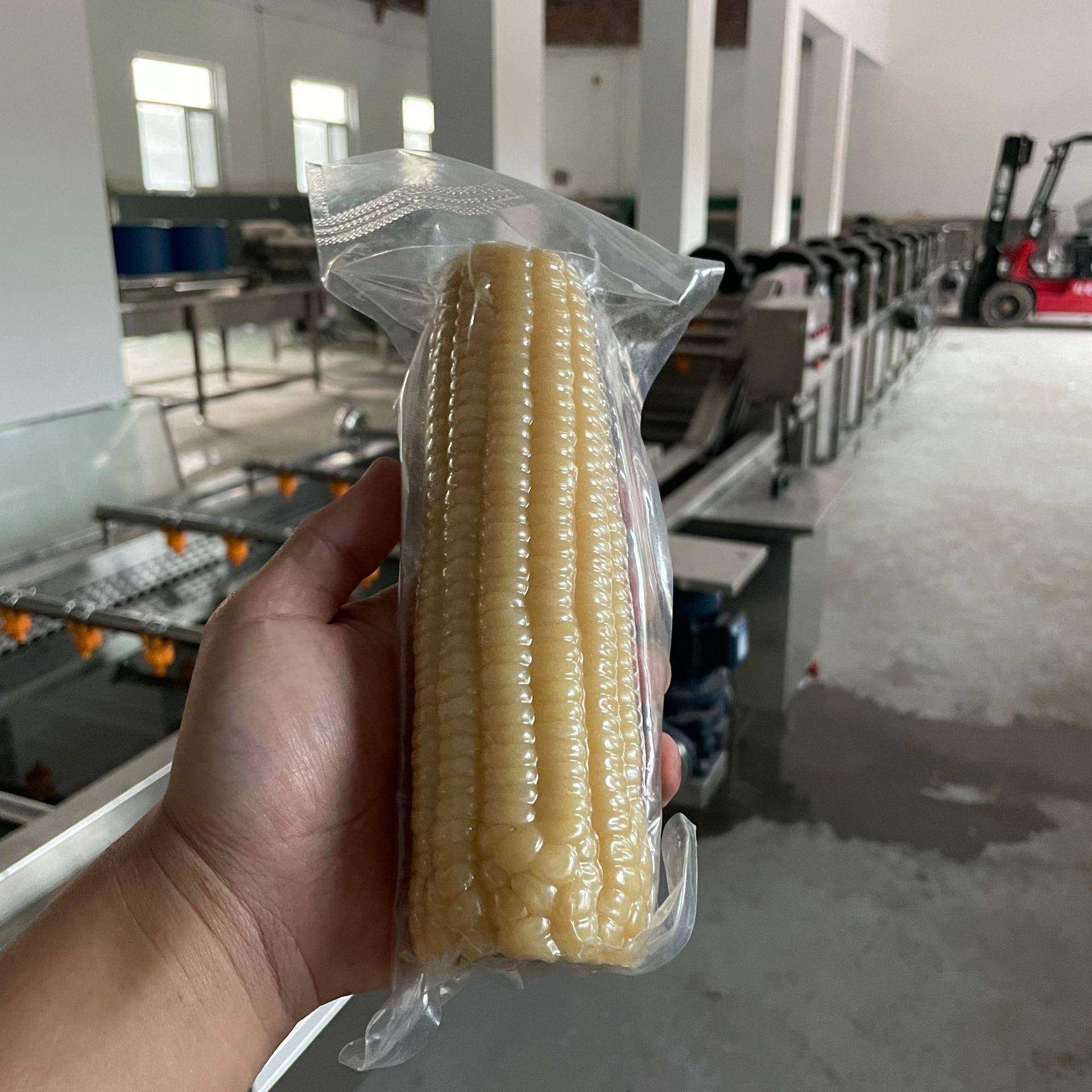 全自动双层水浴杀菌锅袋装酸豆角预制菜杀菌设备自立袋熟食杀菌釜