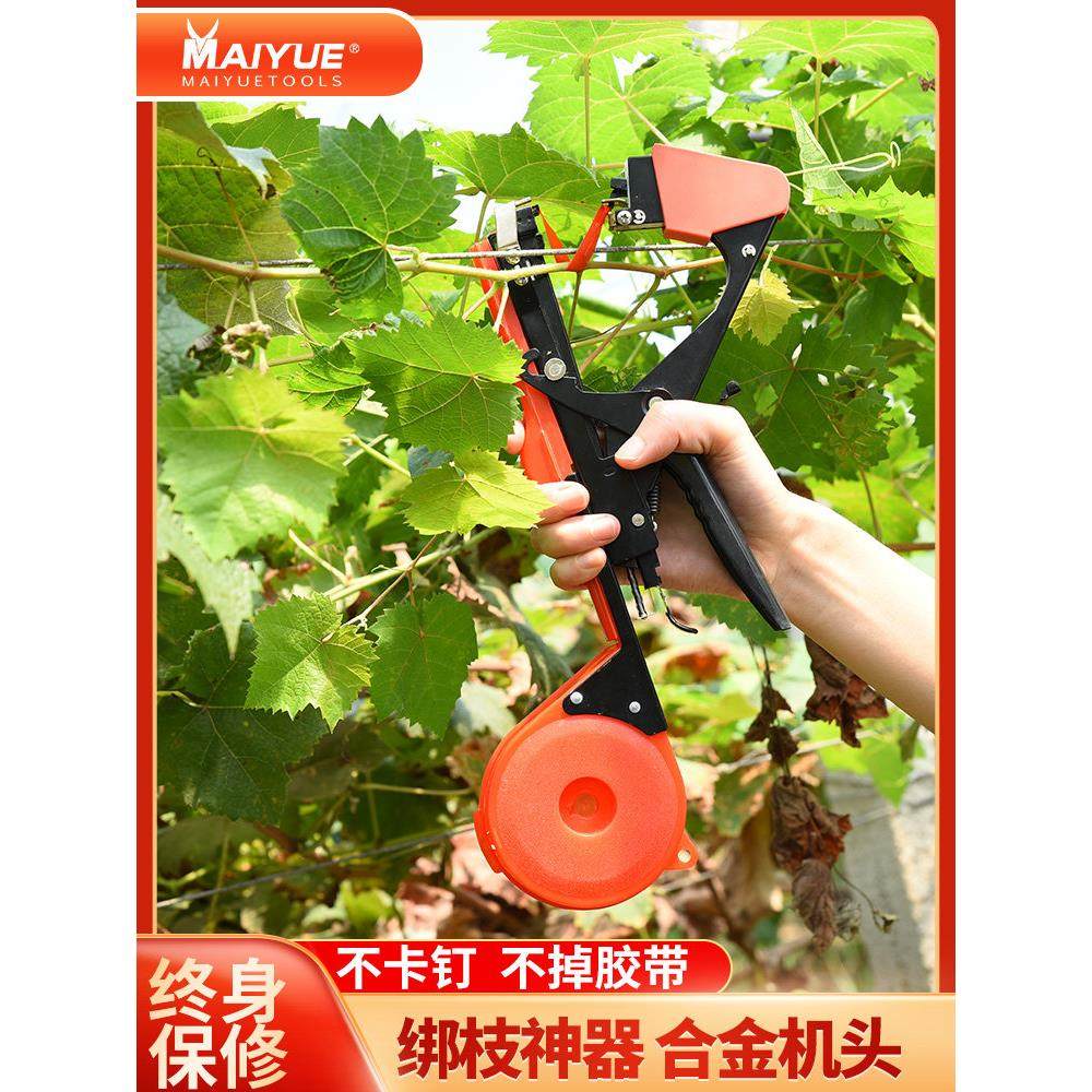 新型农用番茄番茄枝捆扎机蔬菜黄瓜葡萄藤捆扎装置钉带捆扎葡萄藤,鲜花速递/花卉仿真/绿植园艺,其它园艺用品,淘宝优惠券,粉丝福利购,淘宝优惠卷
