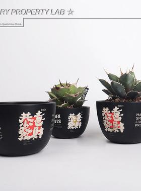 72潮流块根植物龙舌兰龟甲龙块根SRL花盆陶瓷NEIGHBORHOOD