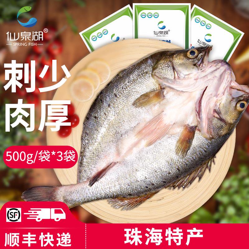 仙泉湖三去白蕉海鲈鱼500g*3条净膛冷冻刺少肉厚珠海特产水产