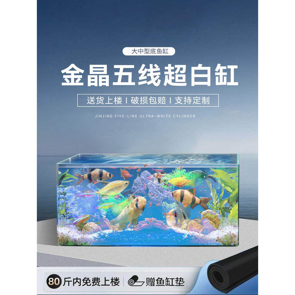 鱼缸金晶五线超白水族箱桌面生态金鱼缸生态造景裸缸家用加厚12mm