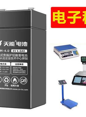 天能3-FM-4V4A称重电子秤吊秤台秤电池6V4ah20hr计价秤蓄电池电瓶