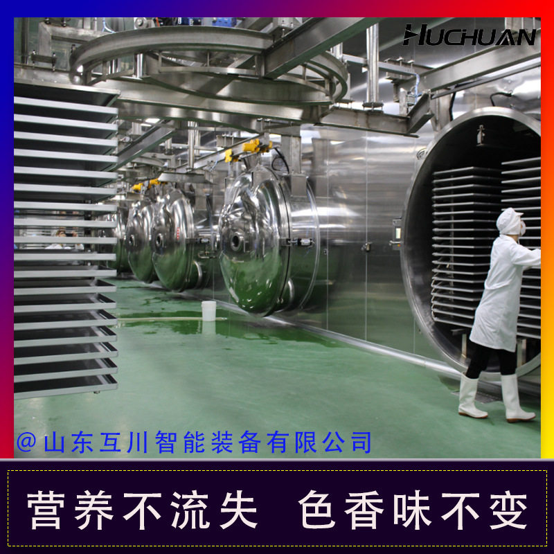 果蔬脆草莓真空冻干机 苹果桑葚低温冷冻干燥机 现货真空冻干机