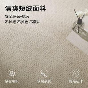 沙发茶几毯免洗可擦房间地垫大面积全铺 客厅地毯轻奢高级2024新款
