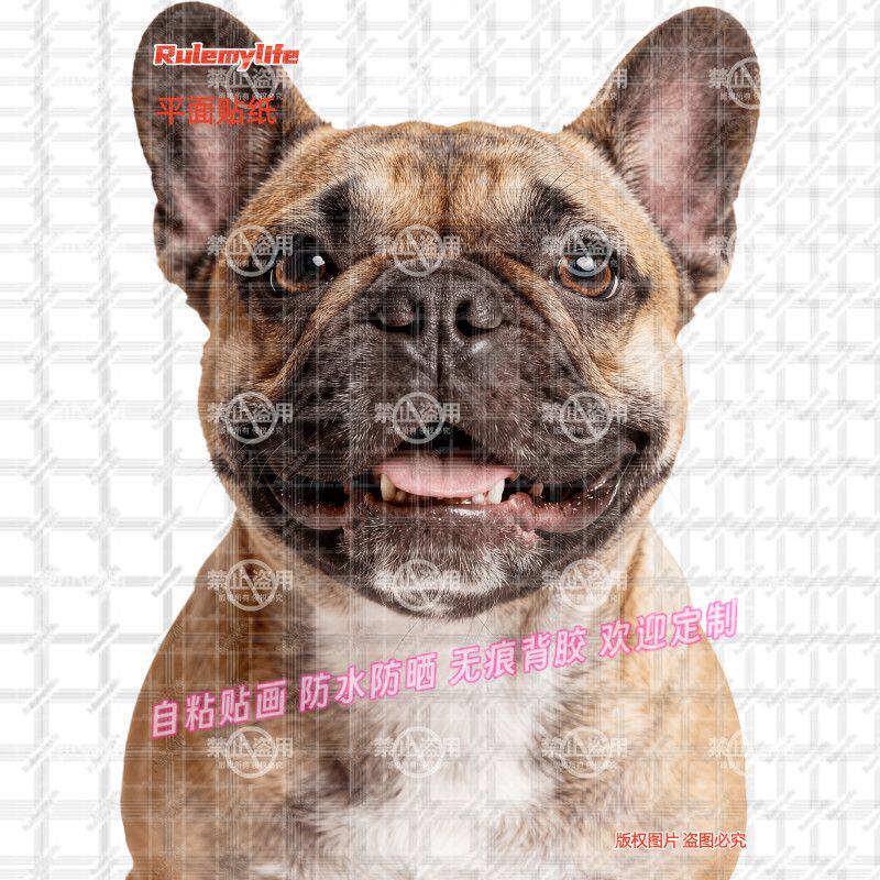 法斗犬狗狗贴纸车贴装饰新款法斗自粘贴画防水车身电脑行李箱房间
