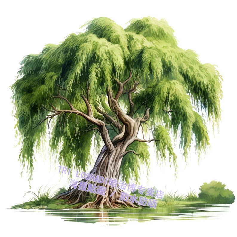 柳树治愈贴画唯美风景贴纸客厅房间墙上床头柜门装饰防水遮丑简约