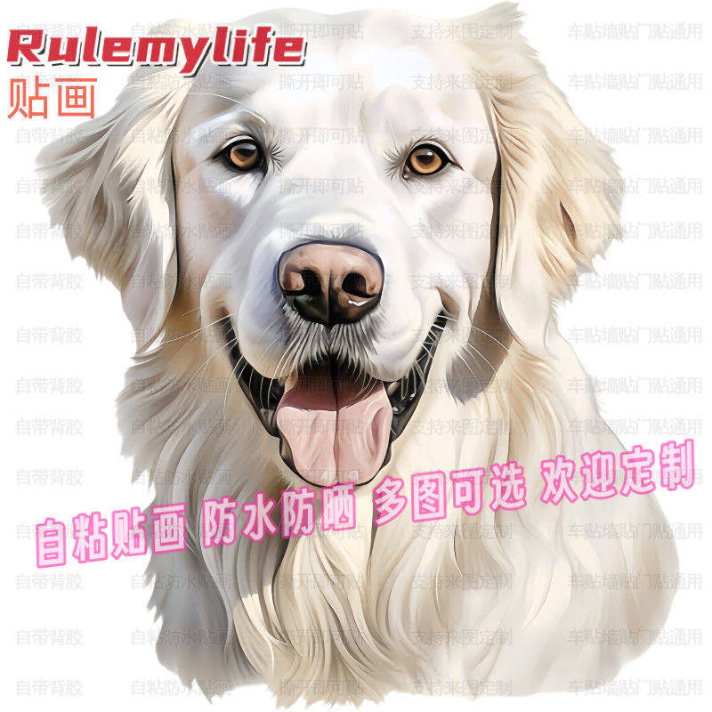 可爱金毛狗狗贴纸自粘贴画贴卧室床头儿童房墙门窗车身电动车装饰