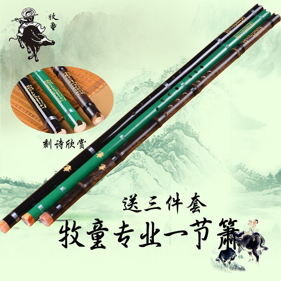 洞箫乐器初学者演奏古朴长箫六八孔一节入门成人紫竹萧赠配件