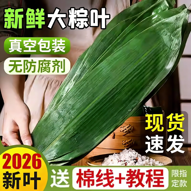 粽叶新鲜大号粽子叶大号