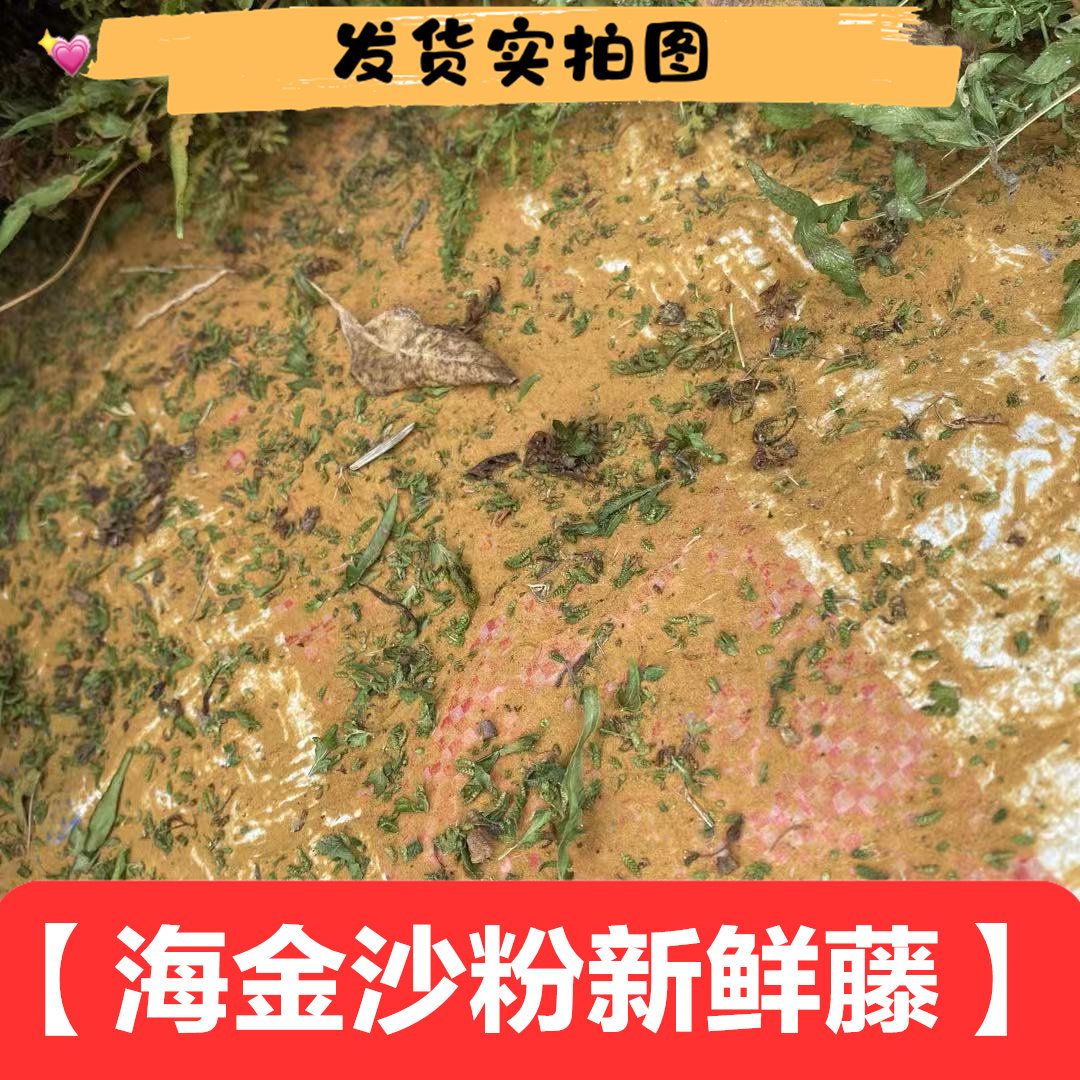 海金沙藤左转藤竹园荽罗网藤发货实拍无硫包邮干品采摘食用熬水发