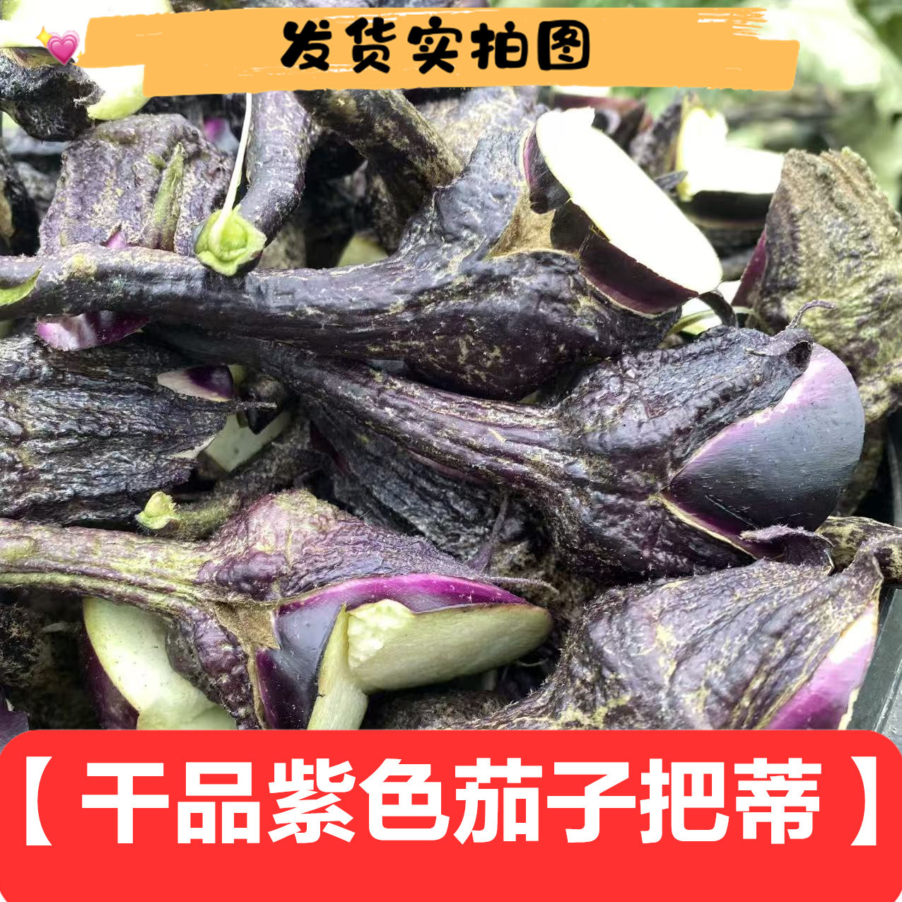 紫色茄子把茄子叶子叶片茄子帝泡茶采摘干品食用泡酒野外绿色植物
