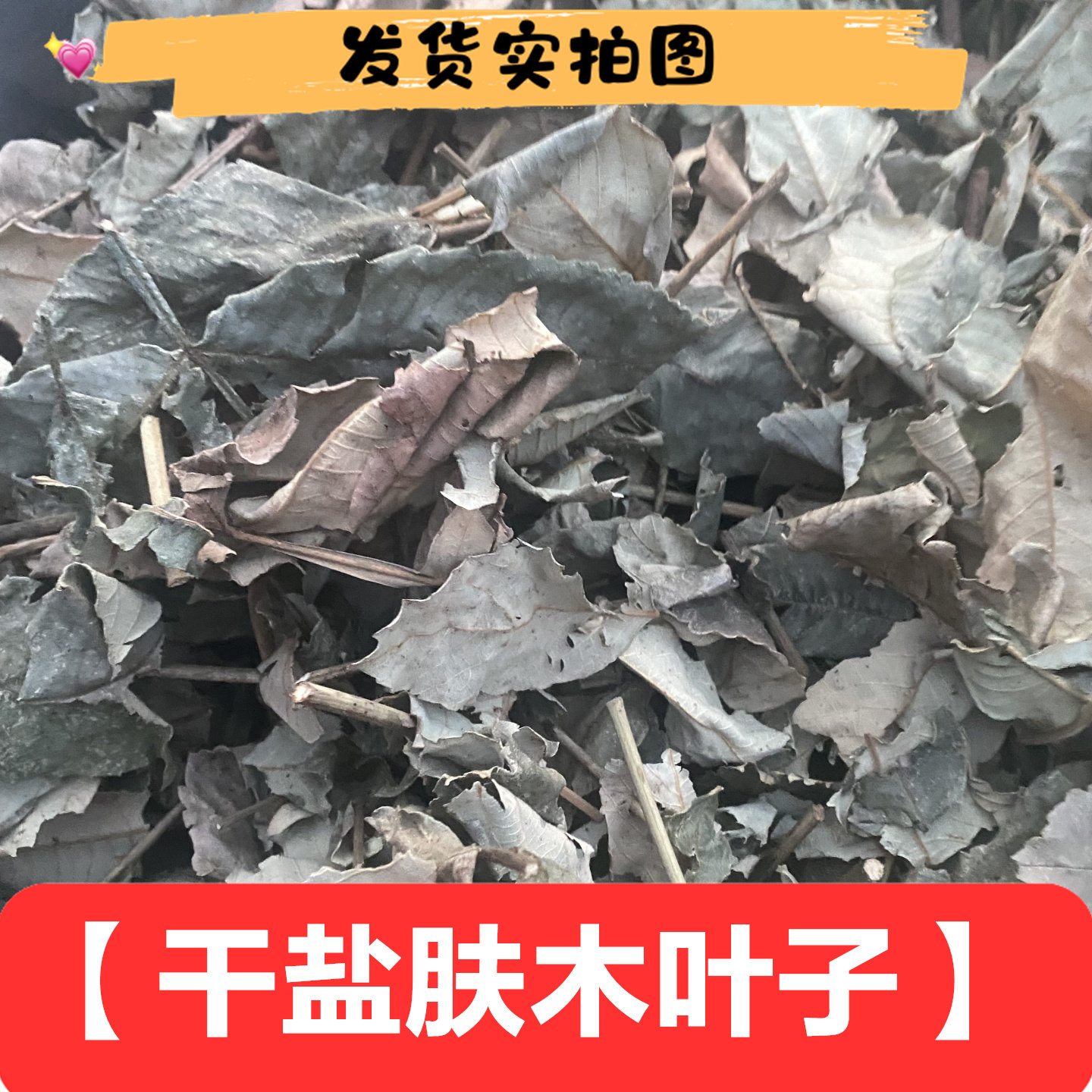 四川干盐肤木叶100克包邮