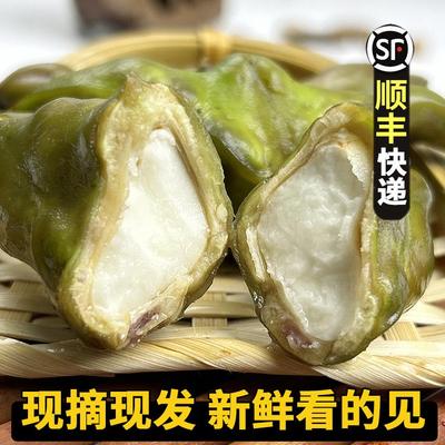 老菱角新鲜生新鲜菱角5斤粉糯老菱角顺丰棱角凌角大青菱角米