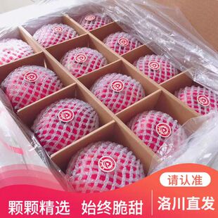 红运道正宗洛川苹果商超红富士脆甜一级大果当季延安特产水果新鲜