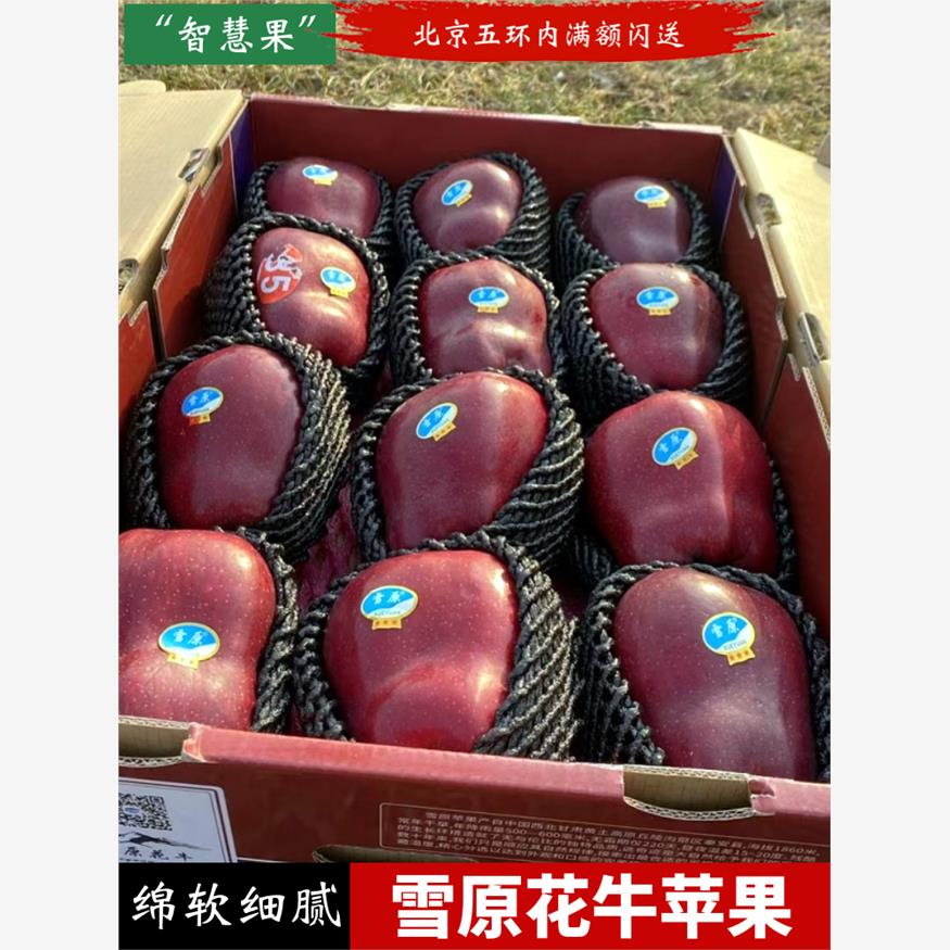 雪原花牛苹果正宗甘肃天水特级蛇皮果宝宝婴儿辅食粉面圣诞平安果