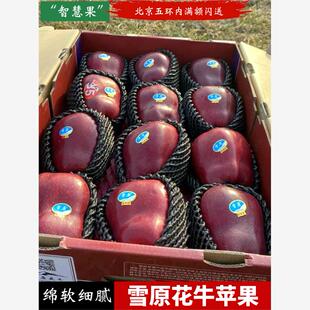 雪原花牛苹果正宗产地甘肃天水蛇皮果宝宝婴儿辅食粉面圣诞平安果
