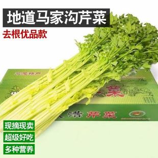 青岛特产平度特产正宗平度马家沟空心大叶芹菜酒店用饭店用大包装