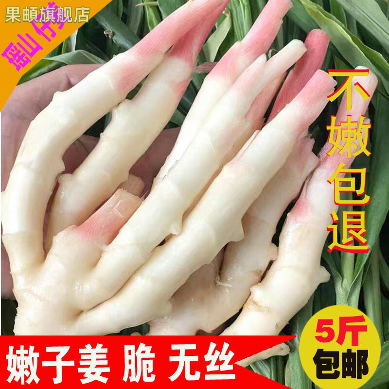 仔姜新鲜嫩姜5斤包邮生姜湖南江永香姜食用子姜醋泡炒菜现挖现发