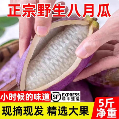 新鲜八月瓜水果八月炸5斤当季野香蕉甜香瓜大果预知子牛卵坨包邮