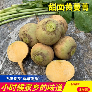 农家自种应季现挖新鲜黄瓤蔓菁芜菁大头甜面疙瘩碱性蔬菜特产