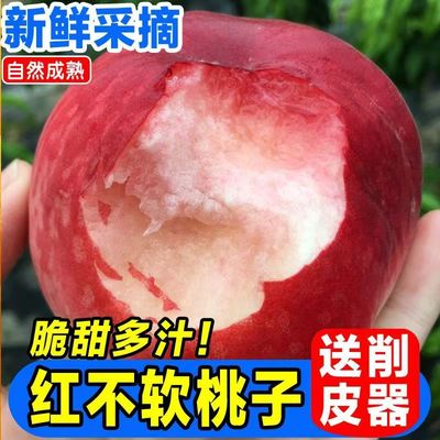 红不软桃子新鲜现摘脆甜水蜜桃毛桃孕妇应当季水果批发整箱非血桃