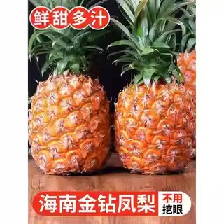 海南直发】正宗海南金钻凤梨新鲜水果当季树上熟芒果凤梨图片
