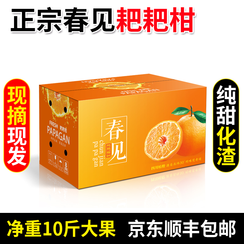 四川特级春见耙耙柑正宗粑粑柑当季新鲜水果杷杷橘甜大果9斤