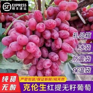 顺丰冷链纯甜无籽克伦生红提葡萄应季水果现摘现发5斤