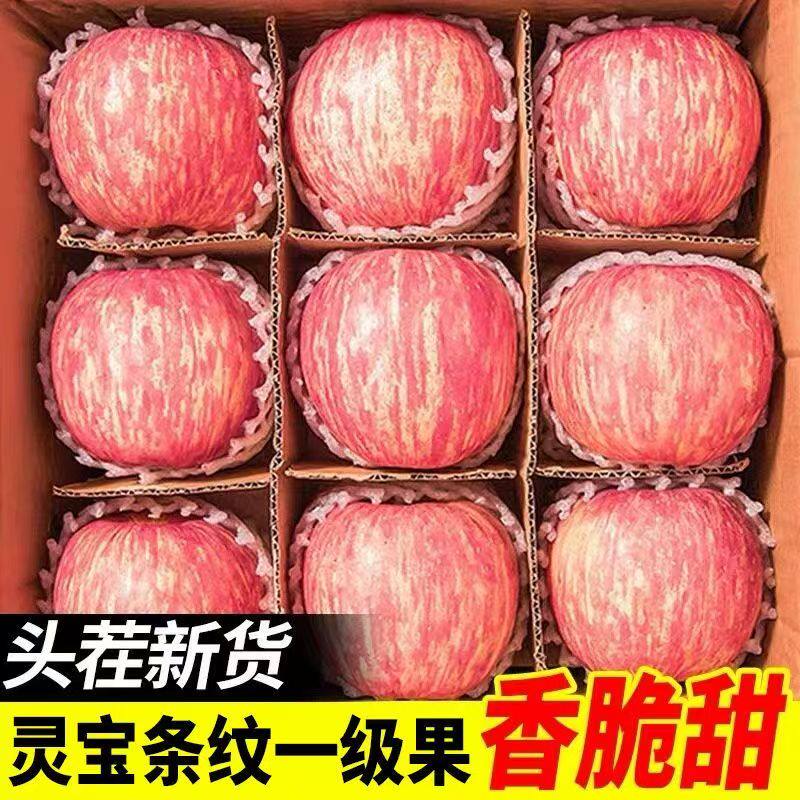 2025河南苹果一级新鲜现摘冰糖心脆甜红富士苹果整箱产地灵宝寺