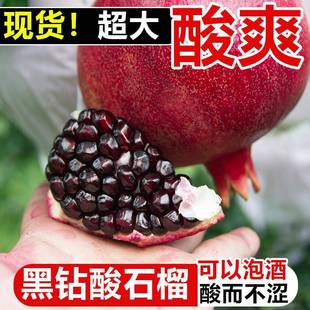 25年攀枝花鸽血软籽酸石榴酸甜黑石榴孕妇水果半口黑珍珠新鲜大果