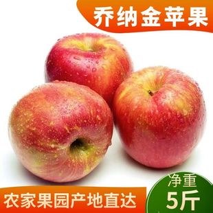 辽宁乔纳金苹果脆酸甜粉面沙甜老人宝宝刮泥吃新鲜水果秋果健康