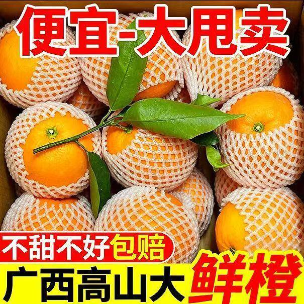 广西桂林新鲜夏橙小花皮夏橙榨汁果现摘橙子应季夏橙新鲜酸甜多汁