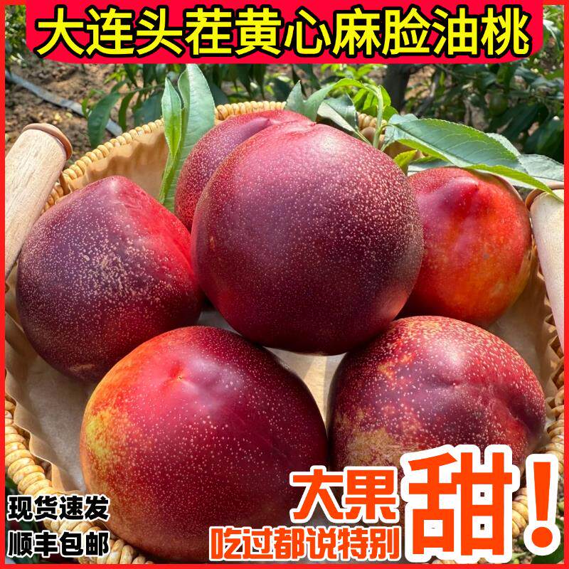 大连黄心麻脸油桃头茬大果脆甜爆汁新鲜水果红油桃现摘顺丰包邮