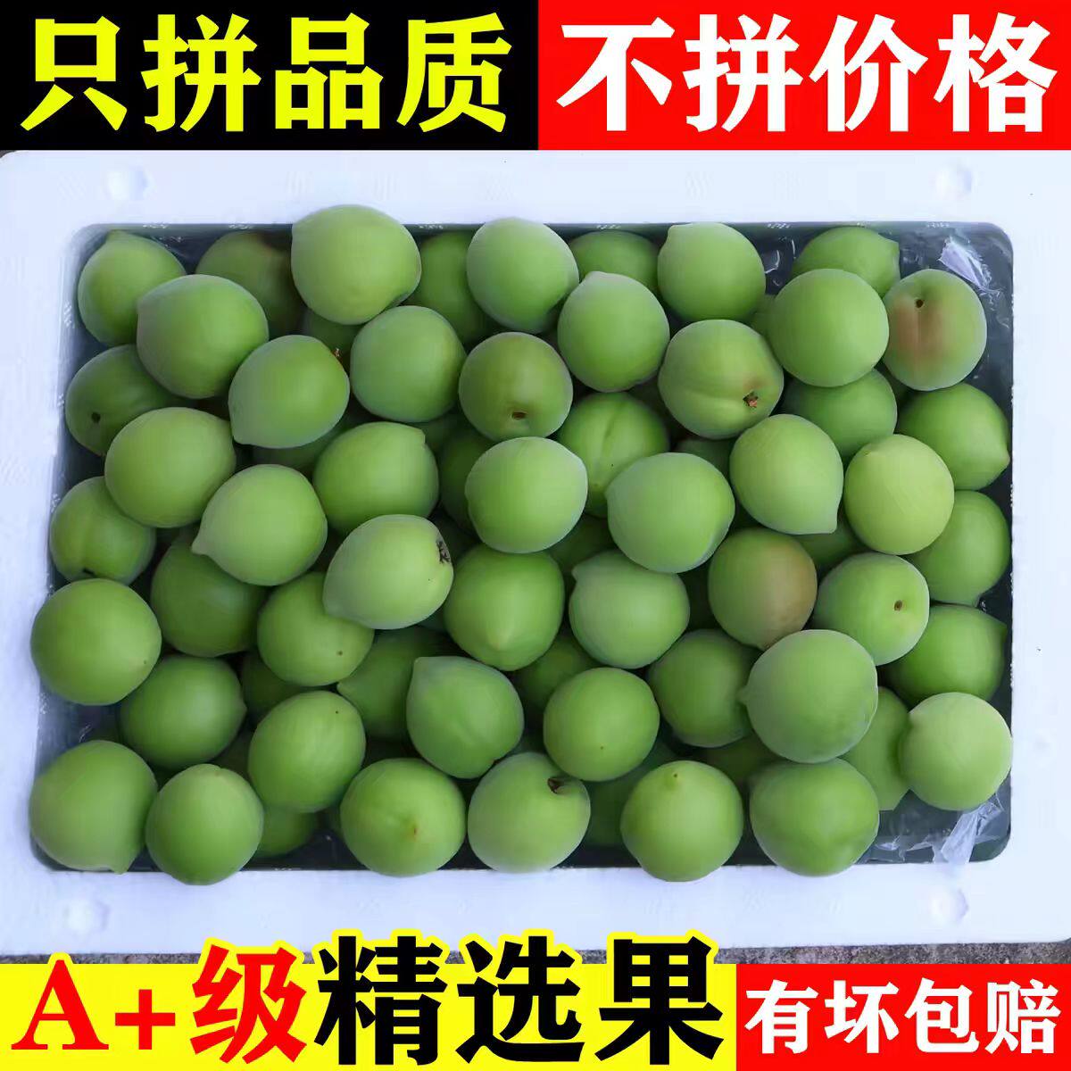 青梅鲜果新鲜高山梅现摘诏安深山散装生梅子泡酒酵素生脆酸梅子果