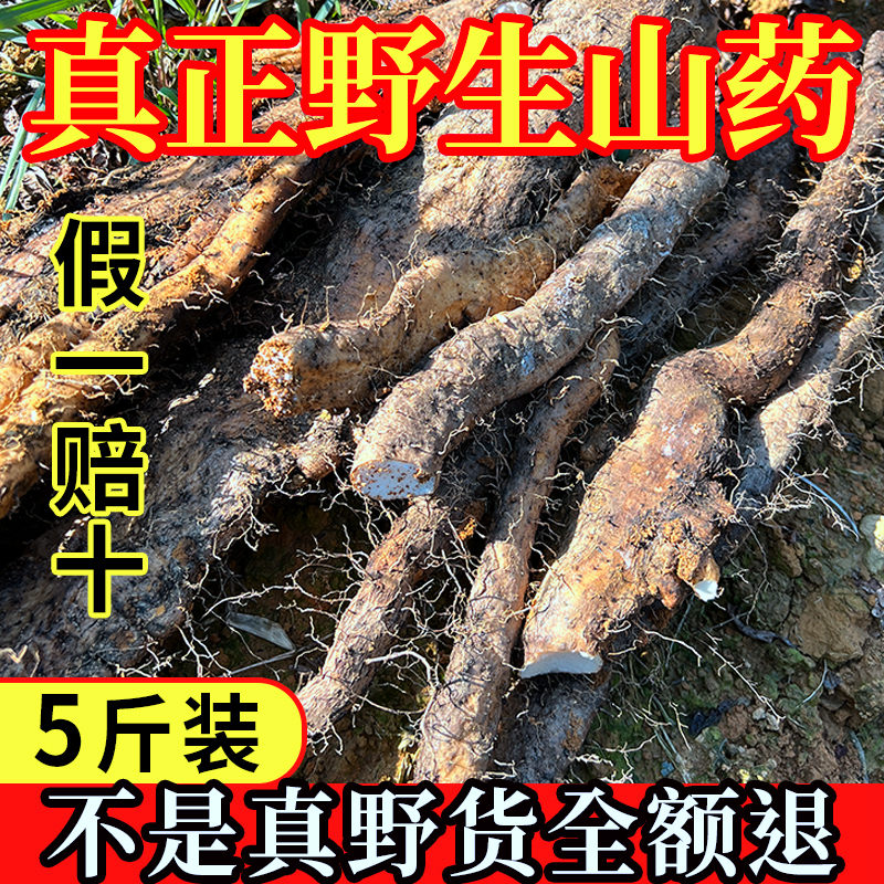 粤北深山正宗野生山药 新鲜现挖香粉糯野生淮山煲汤养胃健脾5斤