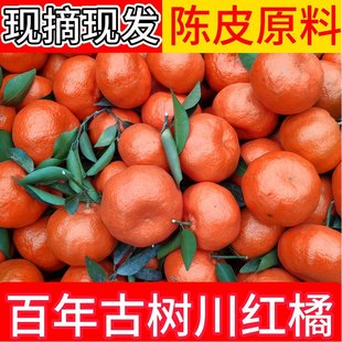 2025红橘子大红袍当季水果10斤正宗川红橘陈皮原料产地万州古红桔