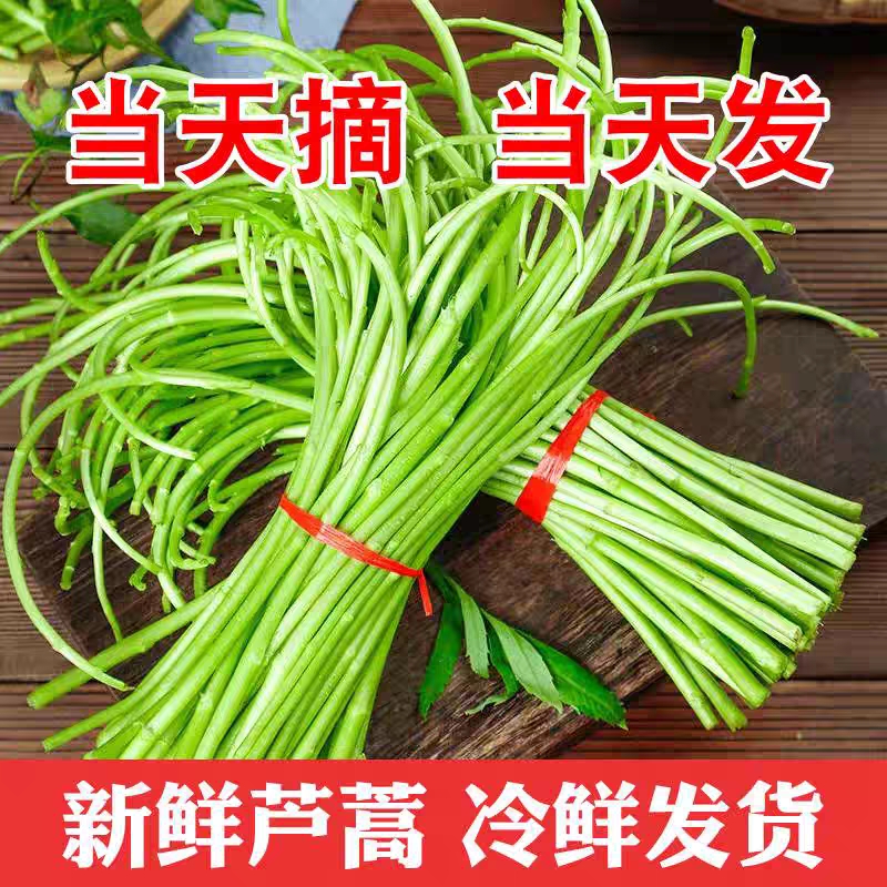 当季黎蒿新鲜芦蒿篱蒿带叶净菜农家野生蔬菜野菜藜蒿鲜嫩泥蒿蓠蒿