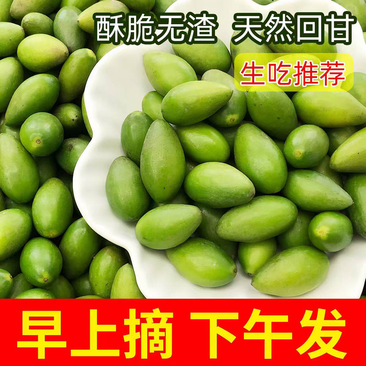 新鲜采摘青橄榄果新鲜檀香橄榄500g福建福州闽清特产水果