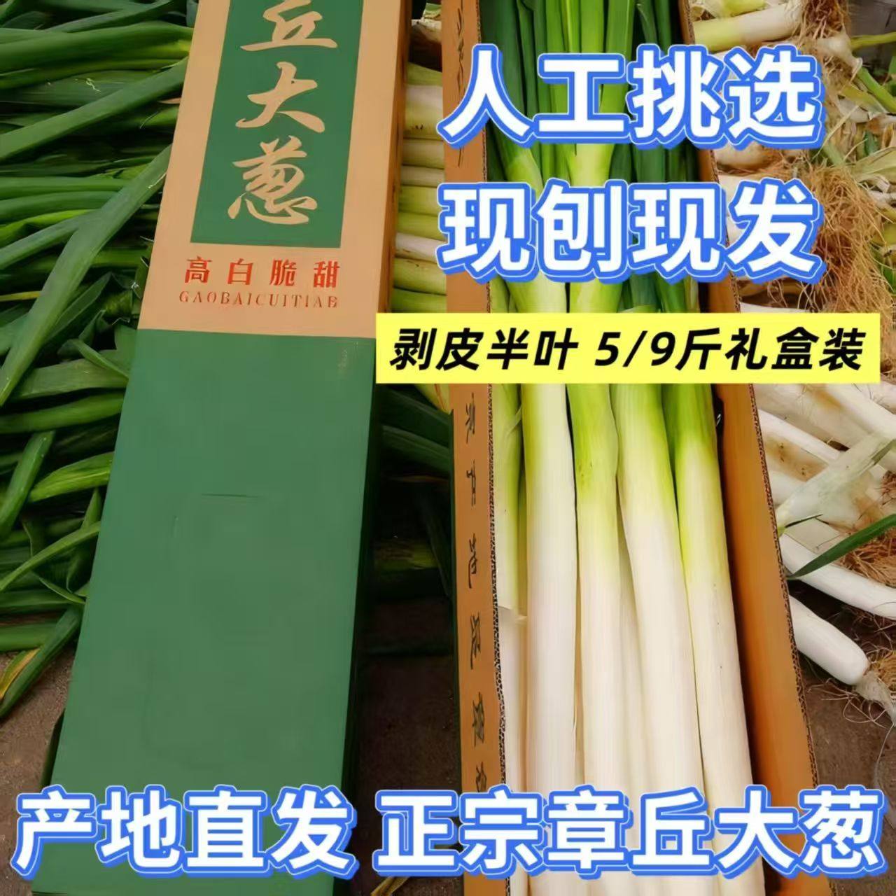 正宗章丘大葱山东特产新鲜蔬菜农产品批发生吃煎饼卷甜葱产地直发,水产肉类/新鲜蔬果/熟食,叶菜类,淘宝优惠券,粉丝福利购,淘宝优惠卷