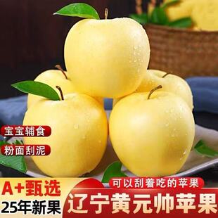 正宗黄元帅苹果奶油10斤新鲜水果粉面香蕉整箱刮泥批发香蕉苹果