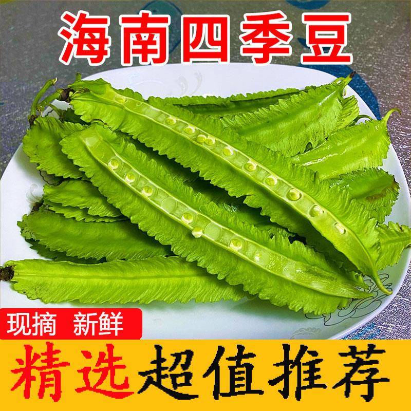 【现摘现发】海南四棱豆四角豆龙角豆新鲜蔬菜皇帝豆三亚特产包邮